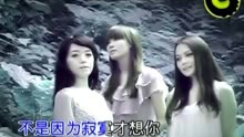 [图]T.R.Y 《不是因为寂寞才想你》高清MTV版-曾爷