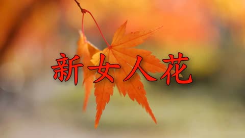 [音樂]唱功在線!一曲《新女人花》歌詞走心,令人心醉,陶醉