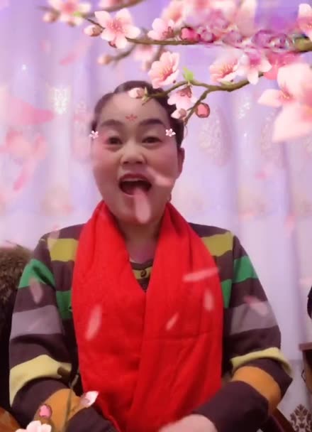 道情片段张廷秀私访