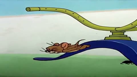 猫和老鼠:真的不能小看蚂蚁,看看杰瑞和汤姆被整的