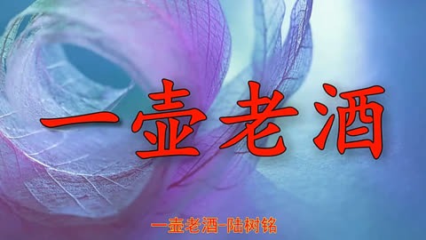 陸樹銘一首《一壺老酒》一壺老酒,舒心的旋律,醉人醉心!