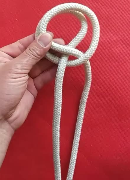 看,单手打猪蹄扣!