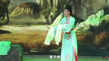 [图]黄梅戏《天仙配》 舞台版 主演： 袁媛 、梅院军