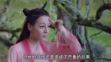 《三生三世枕上书》凤九几句话离不开叶青缇，傻丫头回头看看吧