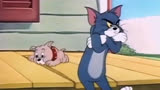 猫和老鼠:会忍术的汤姆太过于嚣张，杰瑞展开了新的整蛊
