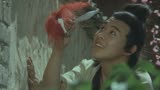 19岁的连杰主演《少林寺》配上《男儿当自强》带给80后满满的回忆