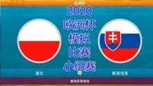 2020年欧洲杯，模拟比赛，波兰vs斯洛伐克