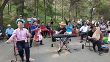 在北京陶然亭公园，天坛琴之声民乐队演奏《好日子》