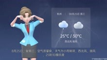 杭州市2021年8月24日天气预报