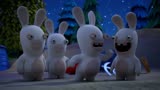 疯狂的兔子：发现好玩的，兔子通体发亮，照亮黑夜还能当吉祥物