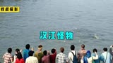 影视：韩国影史经典灾难片《汉江怪物》,人还是要厚道点好！
