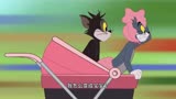 猫和老鼠：汤姆和黑猫未获得芳心比赛！居然杀出个程咬金!