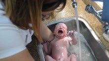 护士给出生1小时的婴儿洗澡，放在水龙头下冲，手法比洗菜还随意