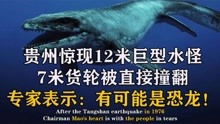 贵州牂牁江发现大鱼，专家实地考察进行研究，纪录片