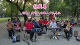《红楼梦》主题曲《枉凝眉》北京天坛琴之声民乐队演奏，凄美感人