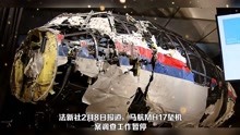 马航MH17坠机案调查暂停