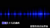 Shana-《跟着感觉走》 纯伴奏 中国新声代