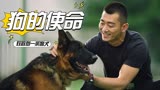 七小汪警犬队：使命与责任！警校第一遇上精英警犬，最忠诚的战友