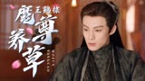 苍兰诀：什么事能让魔尊这么头疼？这要说出来谁敢信
