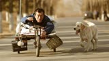 《忠爱无言》一位乡村残疾老人与狗相濡以沫的真实故事