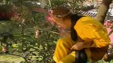 西游记20：师徒三人得到了人参果，师傅却被冤枉