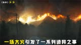 奇幻美剧《狼群》第1集：一场大火引发了一系列诡异之事！