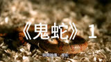 聊斋故事:鬼蛇1