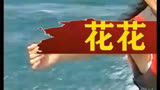 上海滩公子TVB打工记：陈鸿烈逛街被星探发现，小资做派桃花旺