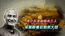 1949年，蒋介石在暗杀名单上添了三人，宋美龄看后为何勃然大怒？
