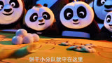 功夫熊猫:软软糯糯的小熊猫太可爱了