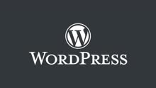 WordPress，适用于博客到大型网站的CMS内容管理系统 - 泪雪网