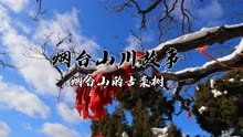 烟台山川故事：烟台山的古栾树