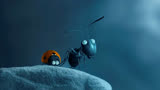 七星瓢虫和蚂蚁成为了好朋友，他们的友谊让人感动《昆虫总动员》