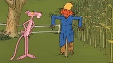 粉红豹的玉米保卫战#童年回忆动画片 