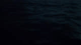 从九